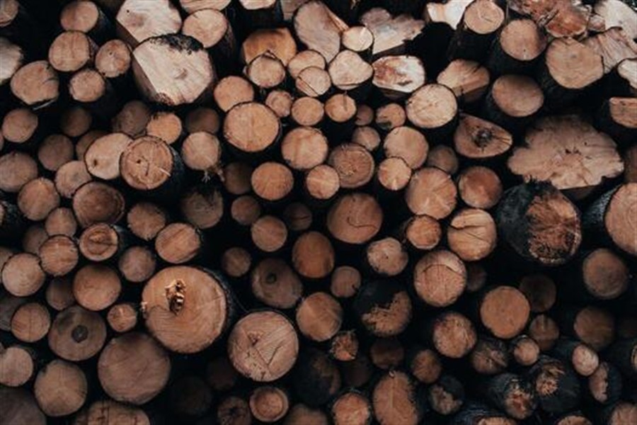 Stacked seasoned firewood, from the Alex's Cords and Bundles homepage
